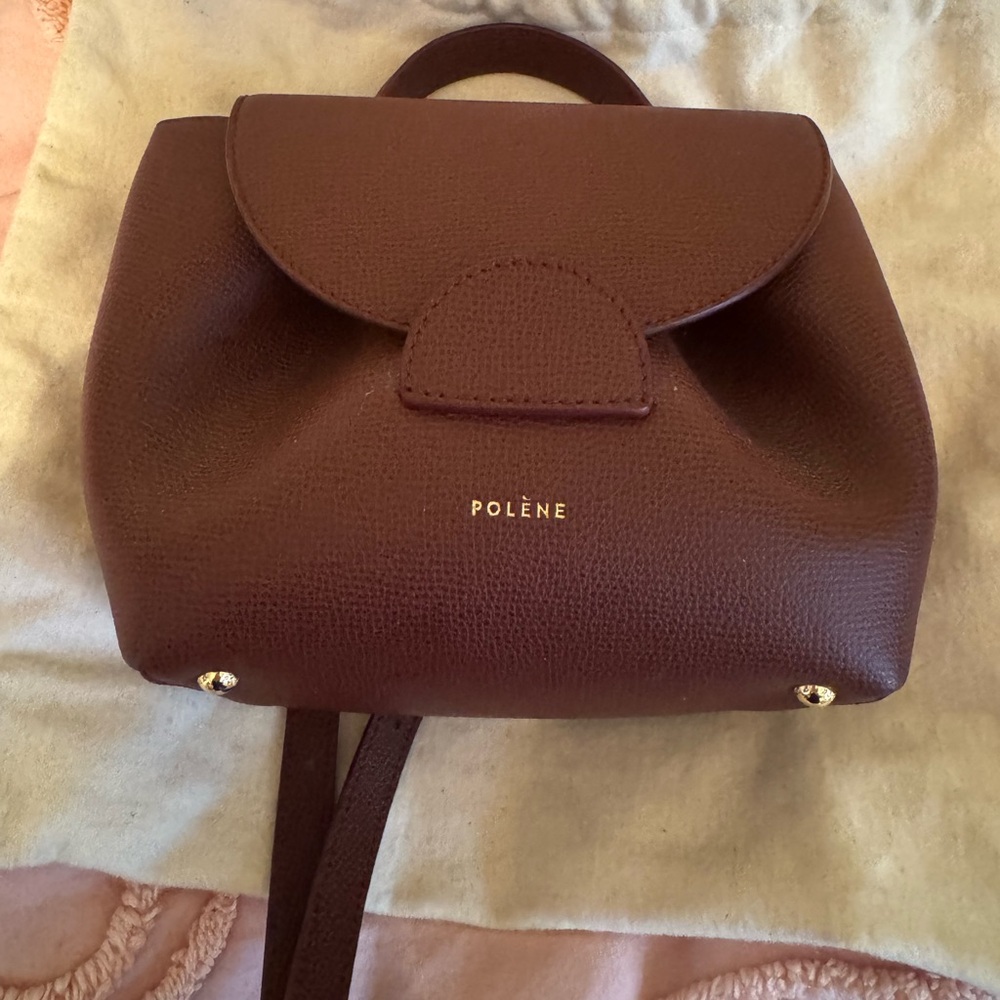 Polene small bag. Comes with dust bag.